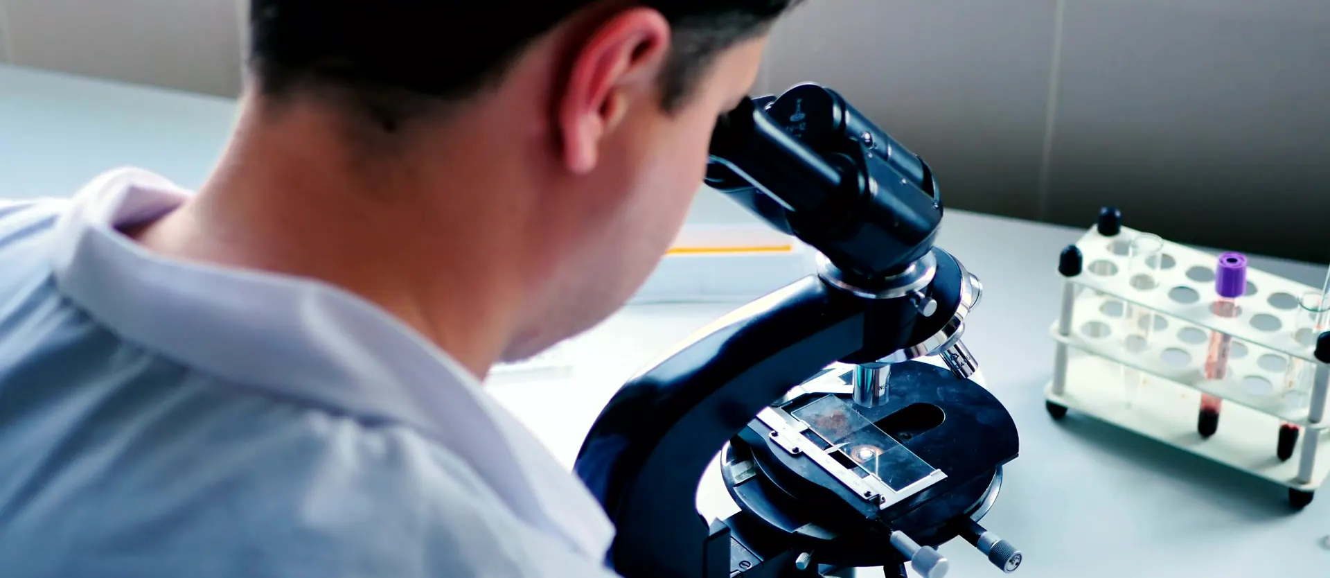 Laboratory inspection under a microscope